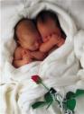 baby love