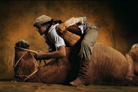 gros câlin